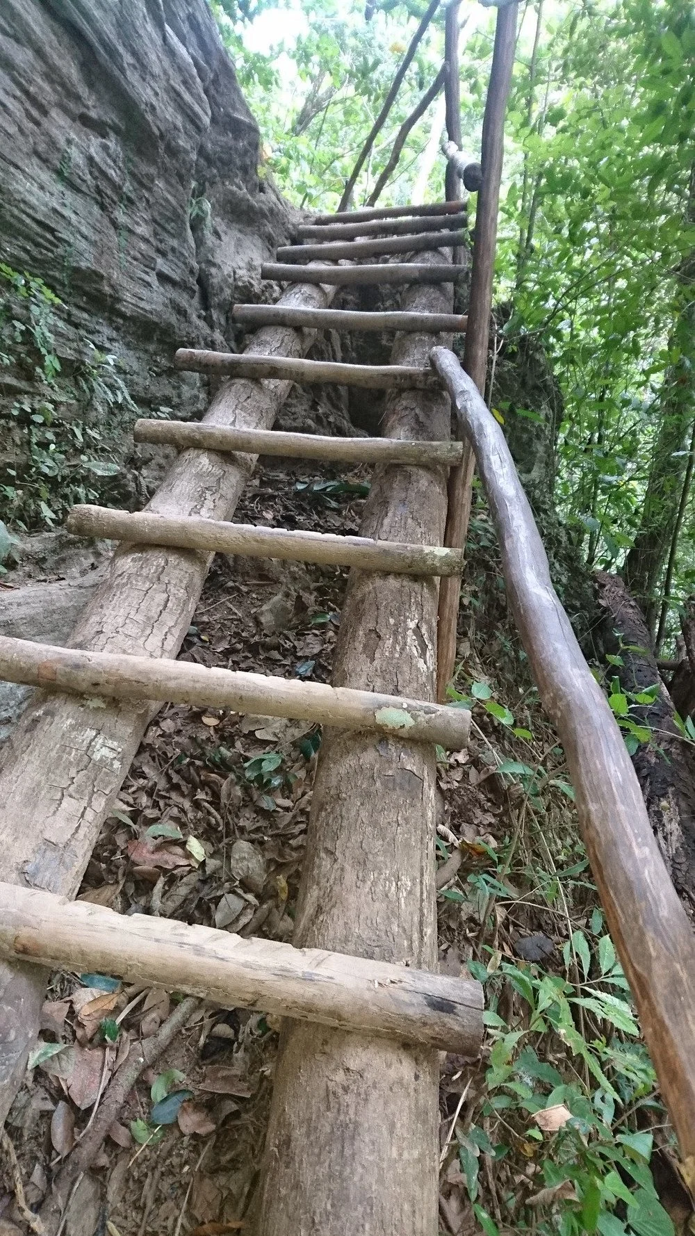 Escaleras rústicas como parte del sendero